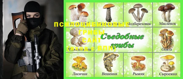 гидра Бородино