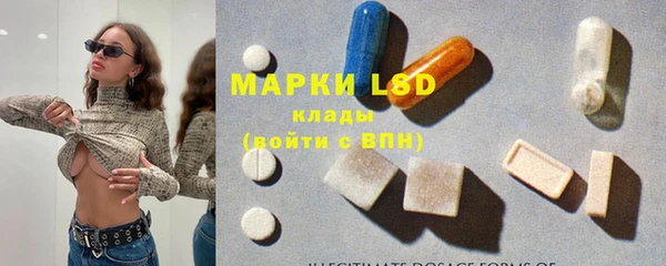ПСИЛОЦИБИНОВЫЕ ГРИБЫ Баксан