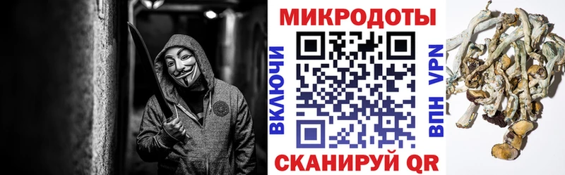 Псилоцибиновые грибы Cubensis  наркошоп  Великий Устюг 